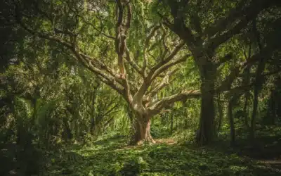 ROI du ghostwriting LinkedIn : comment mesurer la rentabilité financière de son personal branding